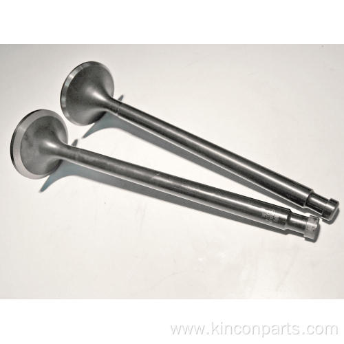 Engine Valves Z170